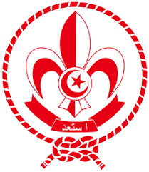 scouts