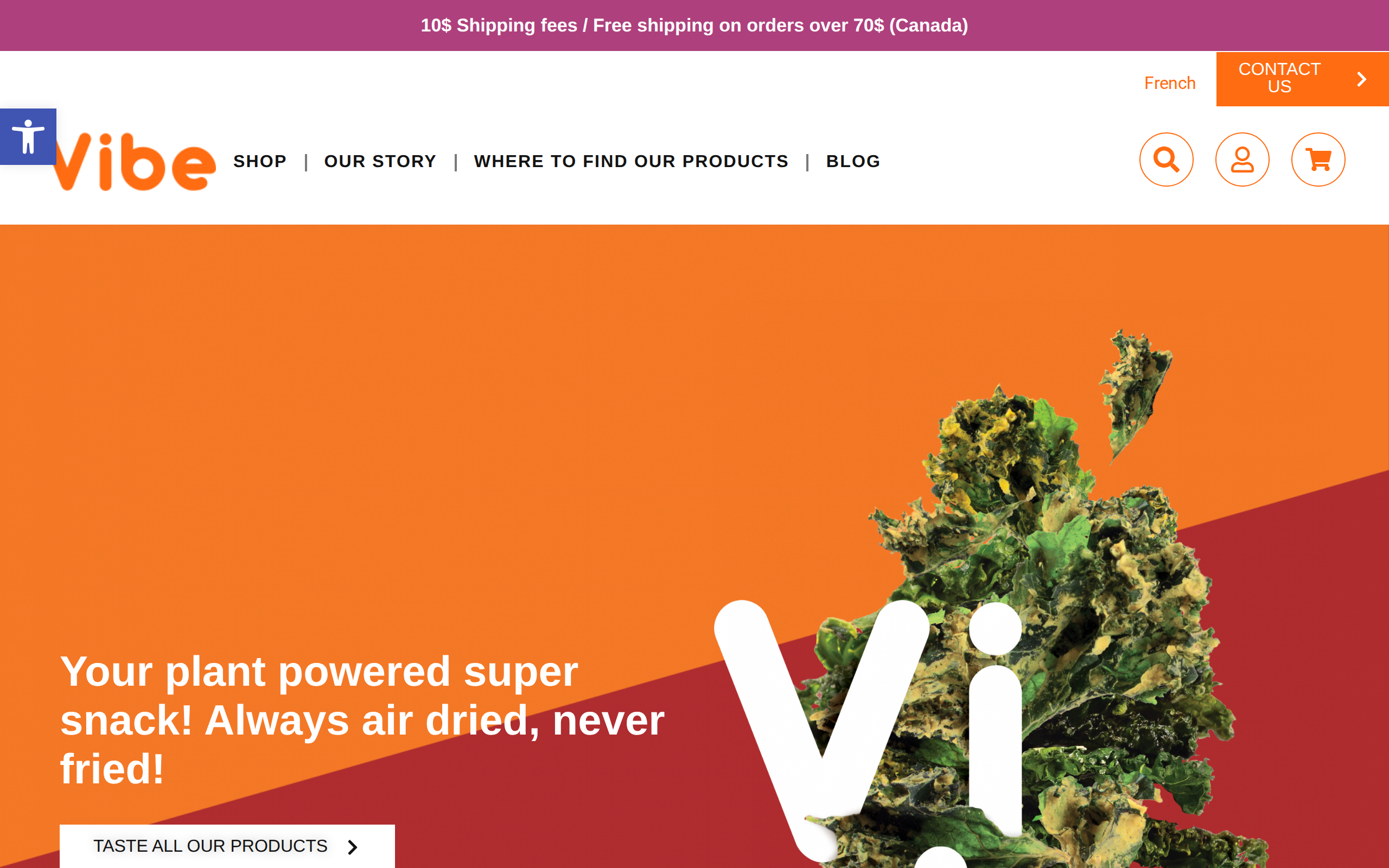 Vibe Foods